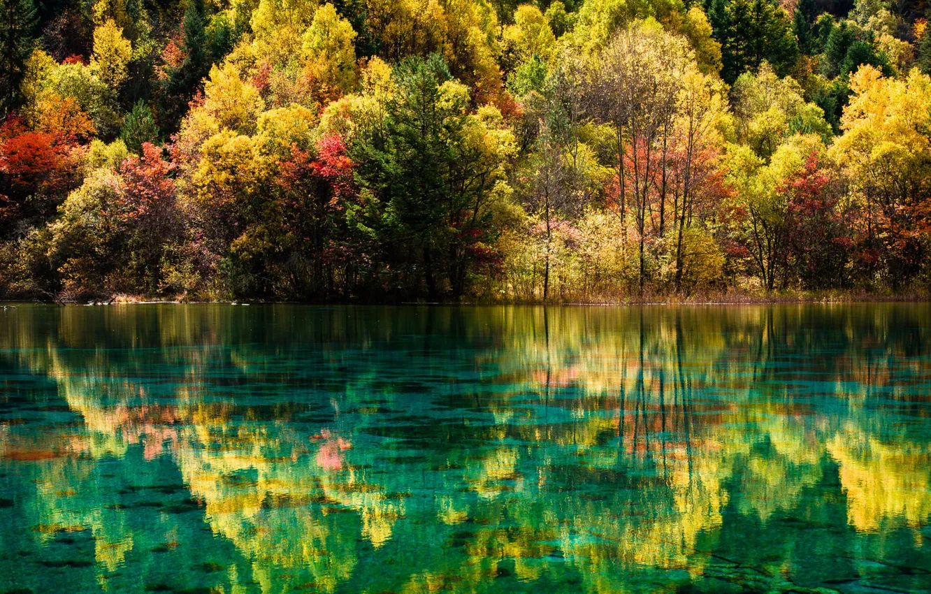 Photo wallpaper autumn, forest, landscape, nature, lake, China, reserve, Jiuzhaigou