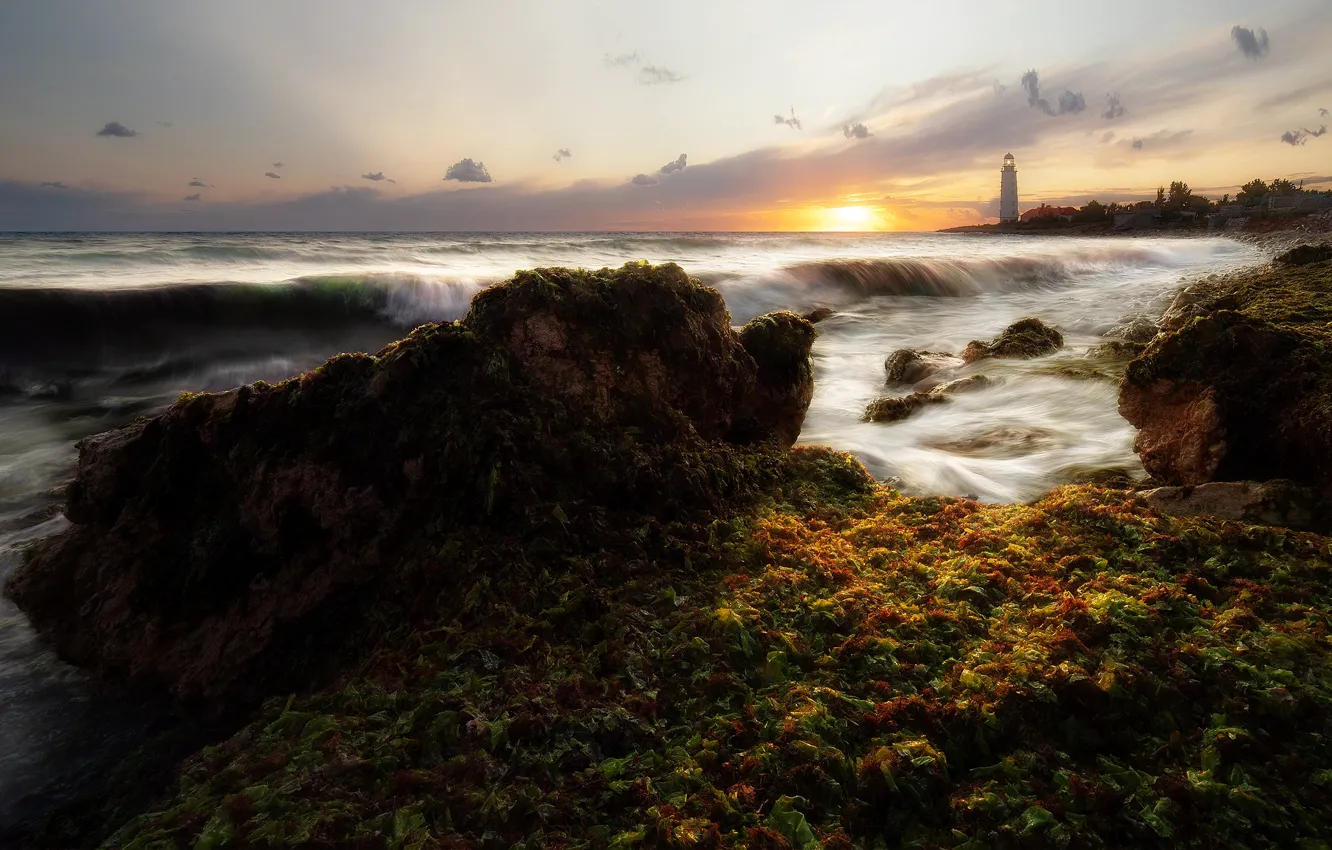 Photo wallpaper sea, wave, algae, landscape, sunset, nature, stones, shore