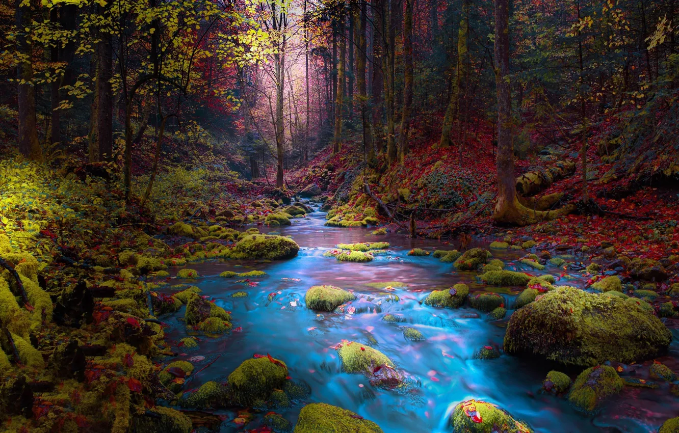 Photo wallpaper autumn, forest, trees, landscape, mountains, nature, river, stream