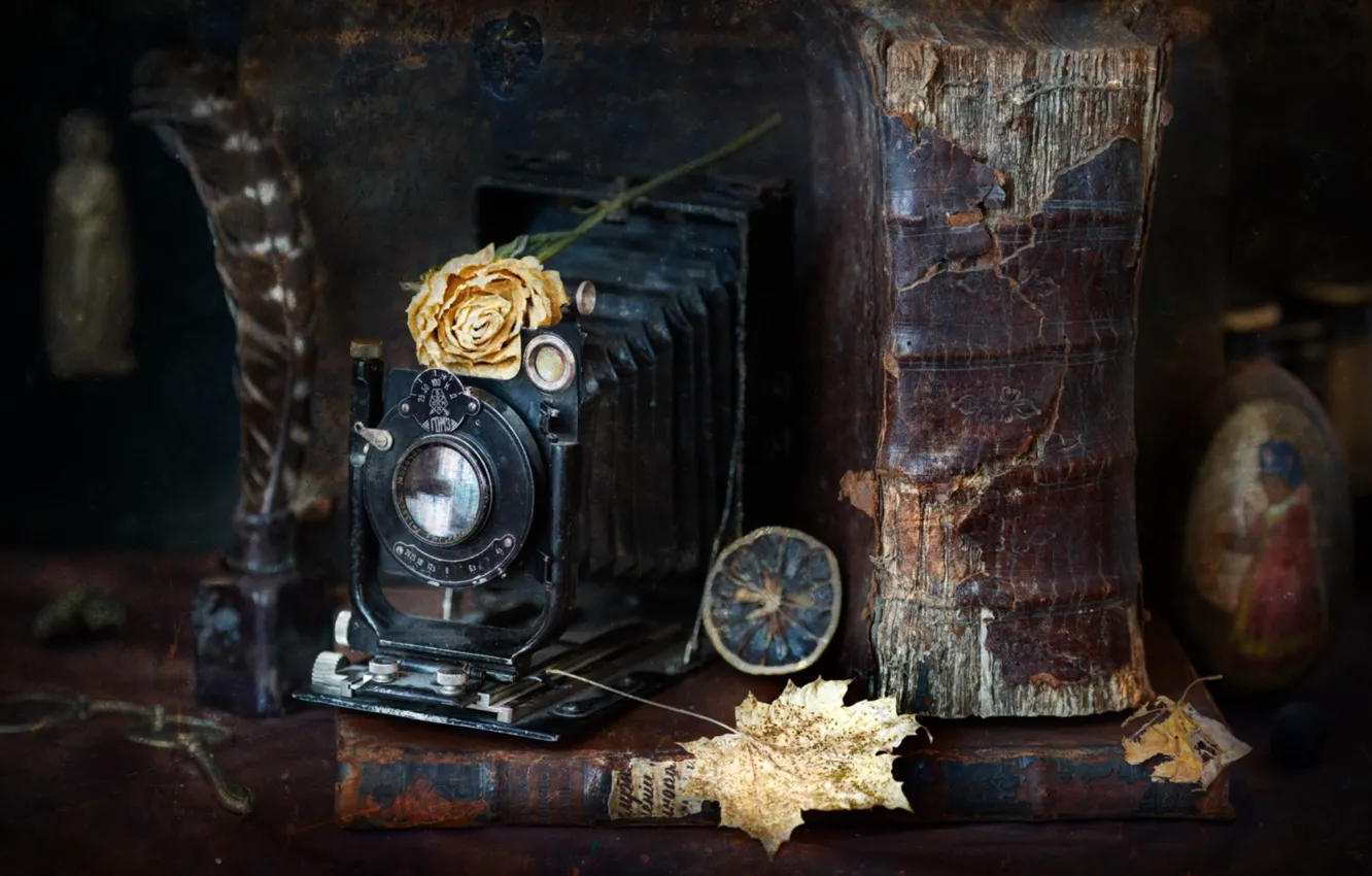 Photo wallpaper leaves, pen, lemon, rose, the camera, book, old