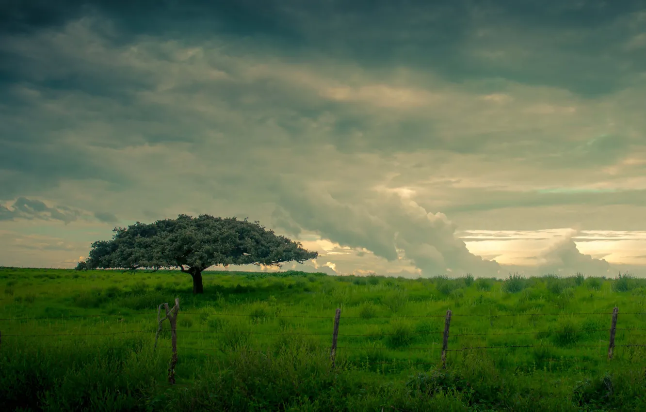 Photo wallpaper green, grass, field, clouds, tree, fence, wire, countryside