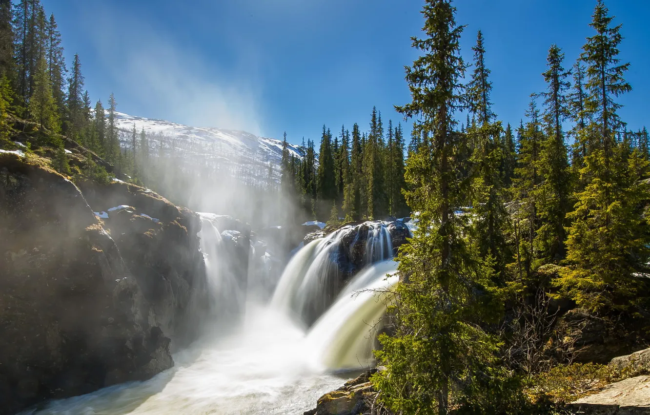 Photo wallpaper forest, nature, river, waterfall, reserve