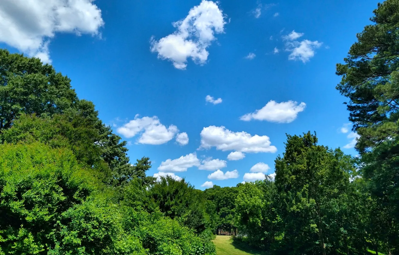 Photo wallpaper park, clouds, spring, Fred Fletcher Park, Jim Perry
