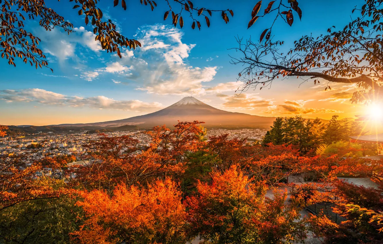 Photo wallpaper autumn, the sun, rays, landscape, sunset, branches, nature, mountain