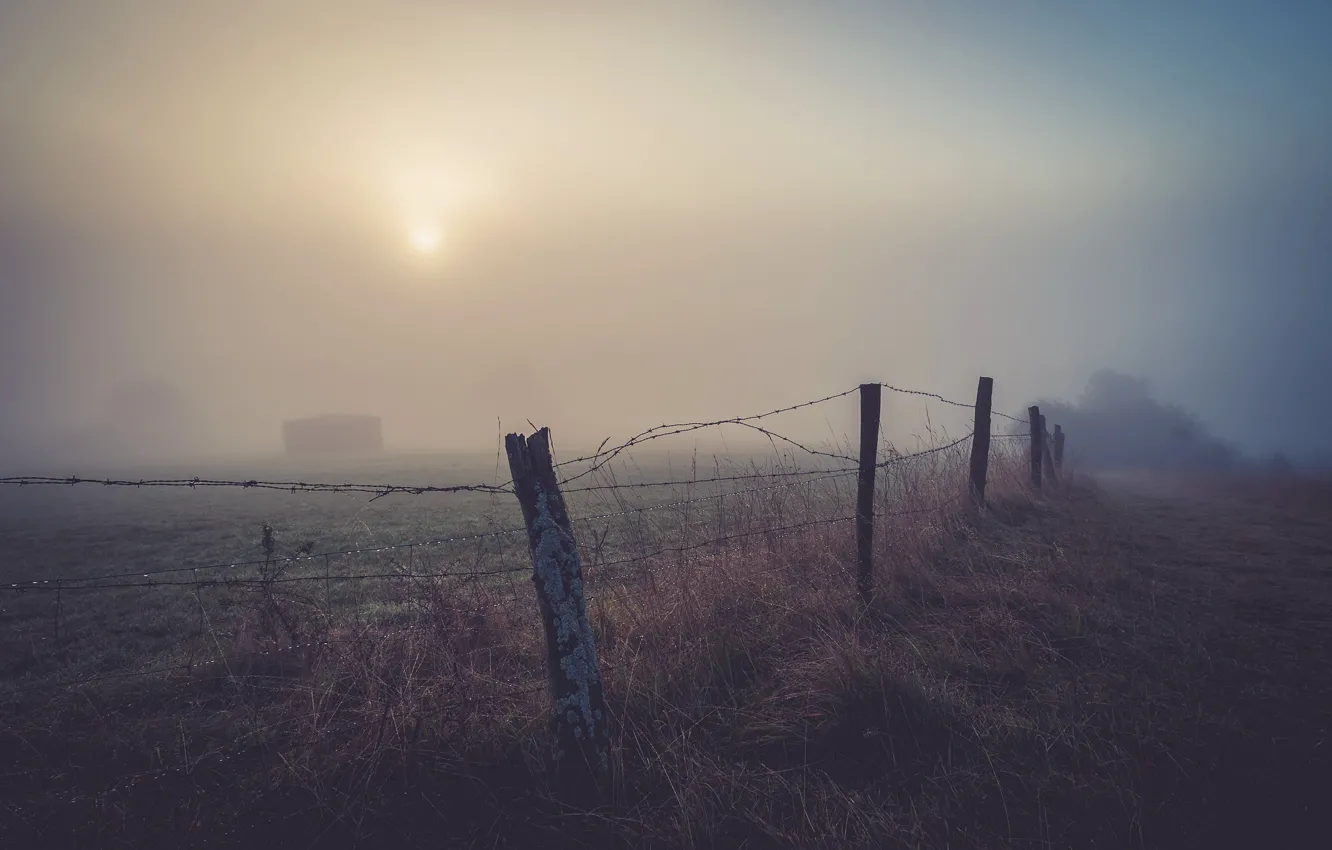 Photo wallpaper night, fog, the fence