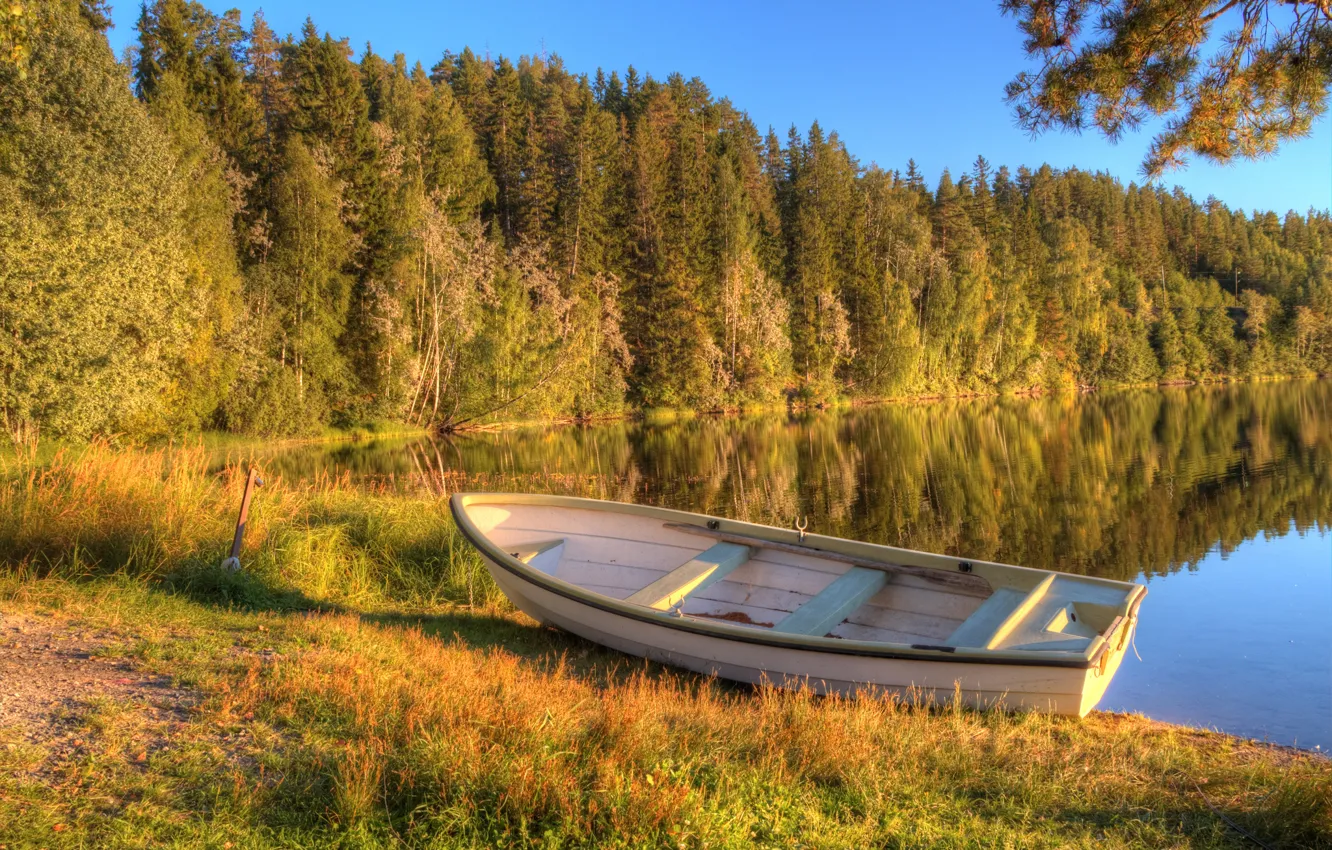 Photo wallpaper autumn, forest, lake, boat, morning, early