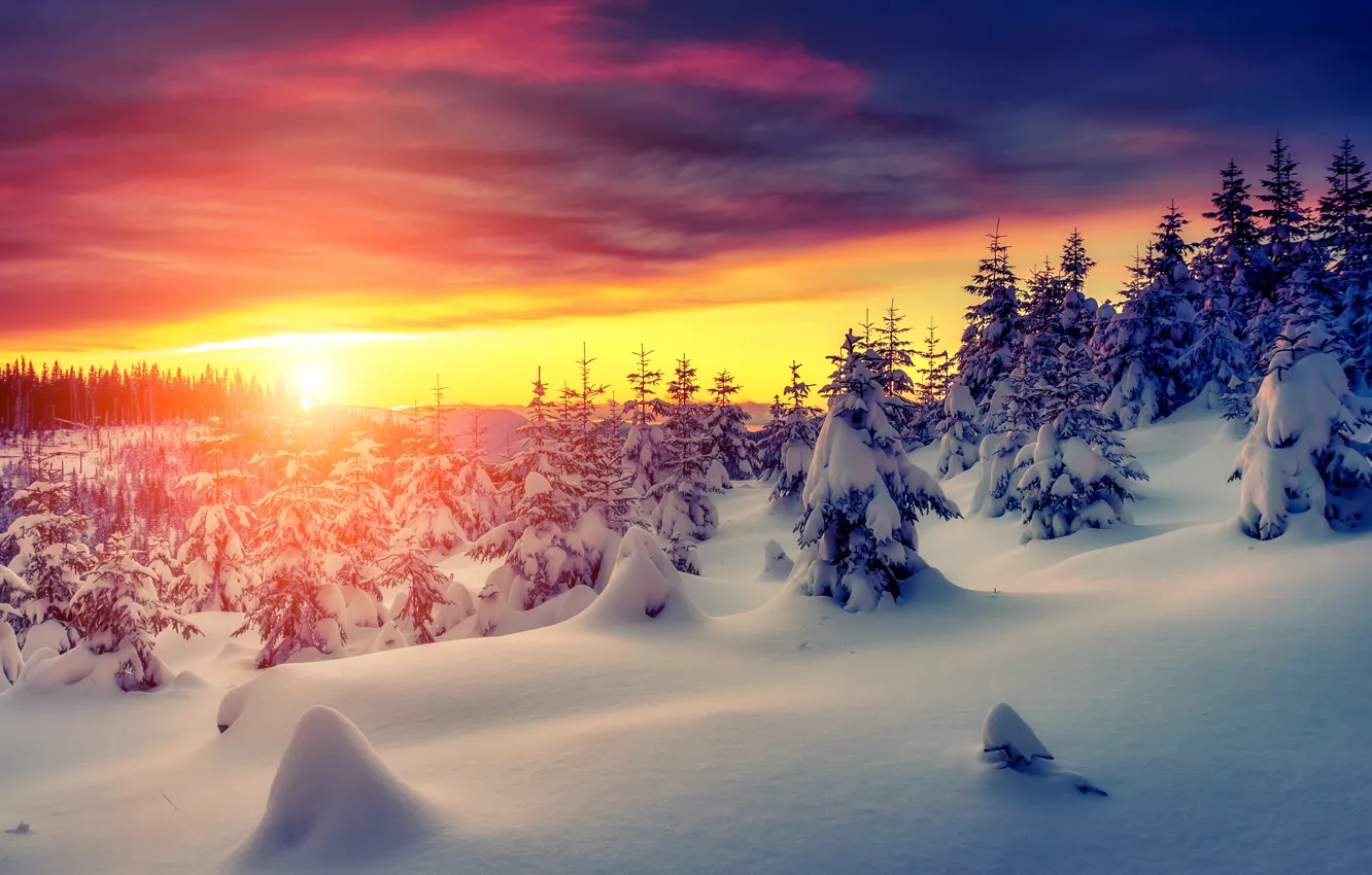Photo wallpaper winter, the sky, snow, landscape, nature, white, sky, landscape