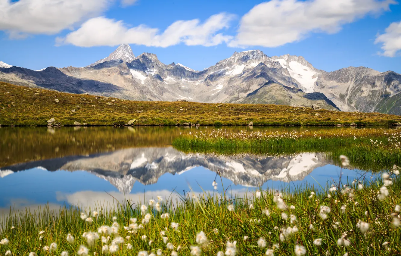 Photo wallpaper mountains, lake, reflection, Switzerland, Alps, cottongrass