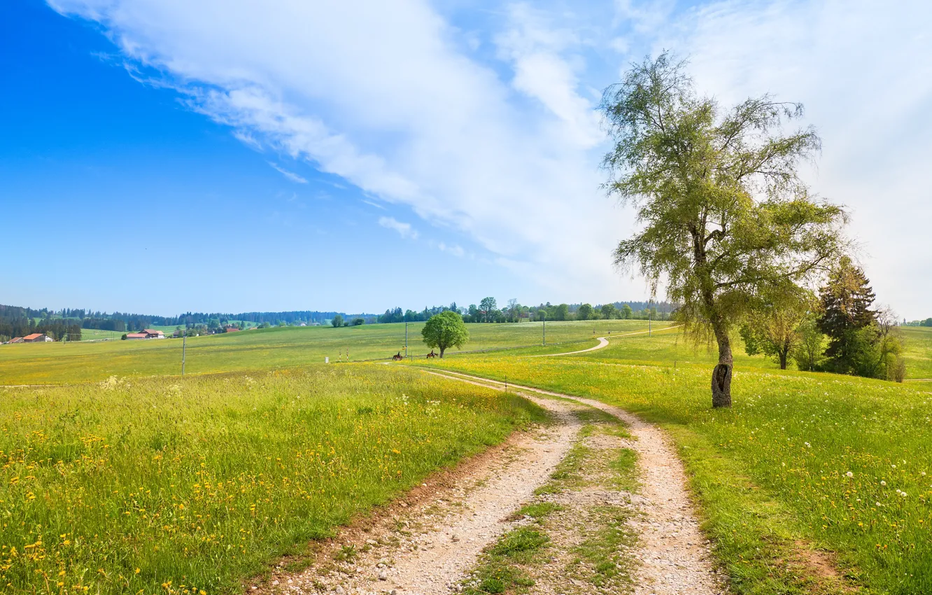 Photo wallpaper road, field, the sky, clouds, trees, Switzerland, Jura Hike