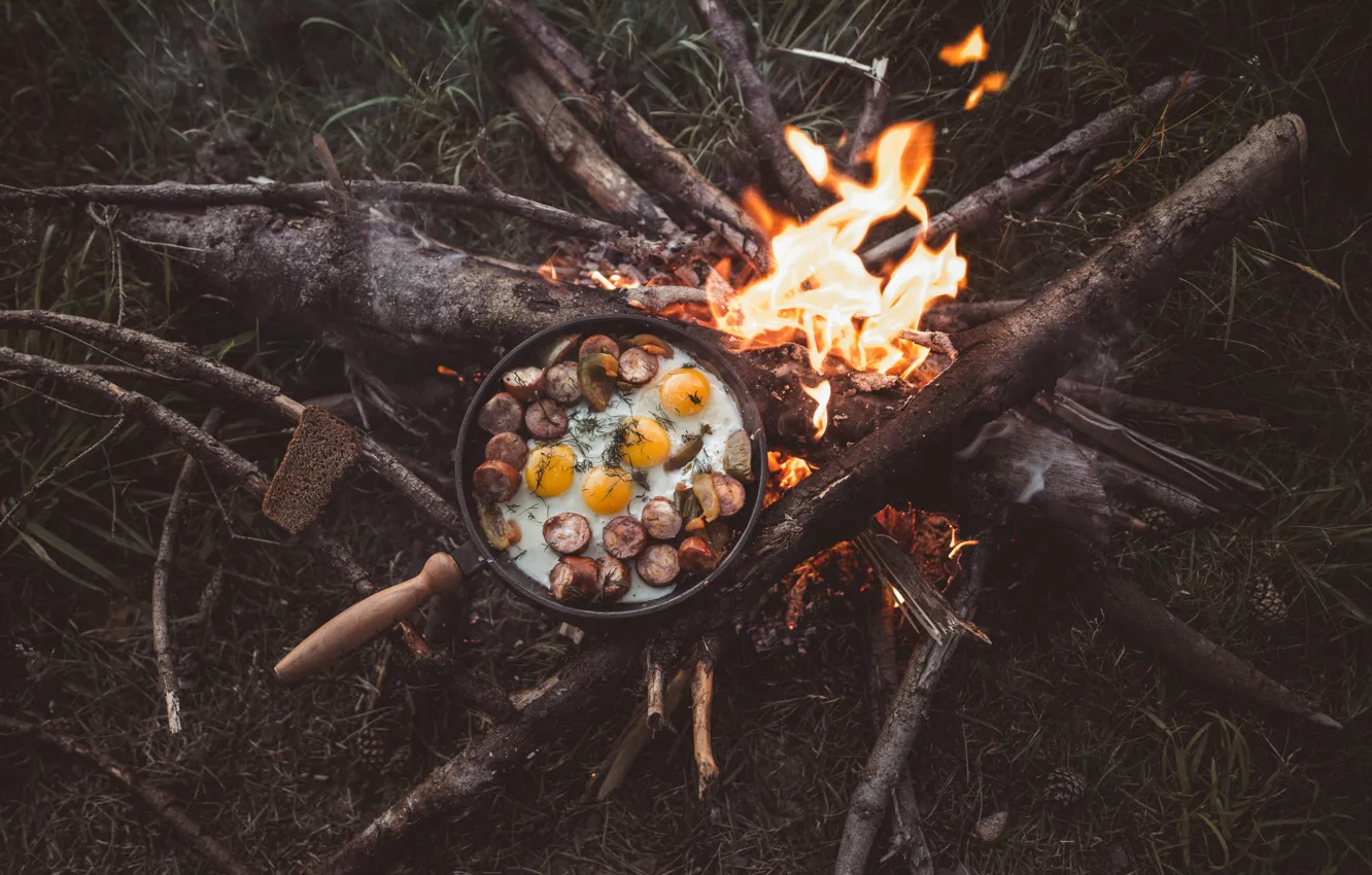 Photo wallpaper wallpaper, fire, nature, food, background, branches, camping, sticks