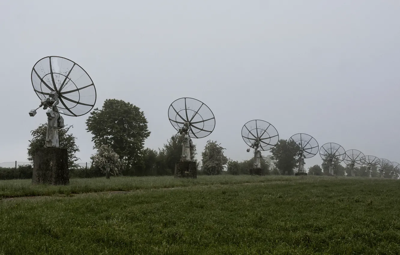 Photo wallpaper field, fog, Antena