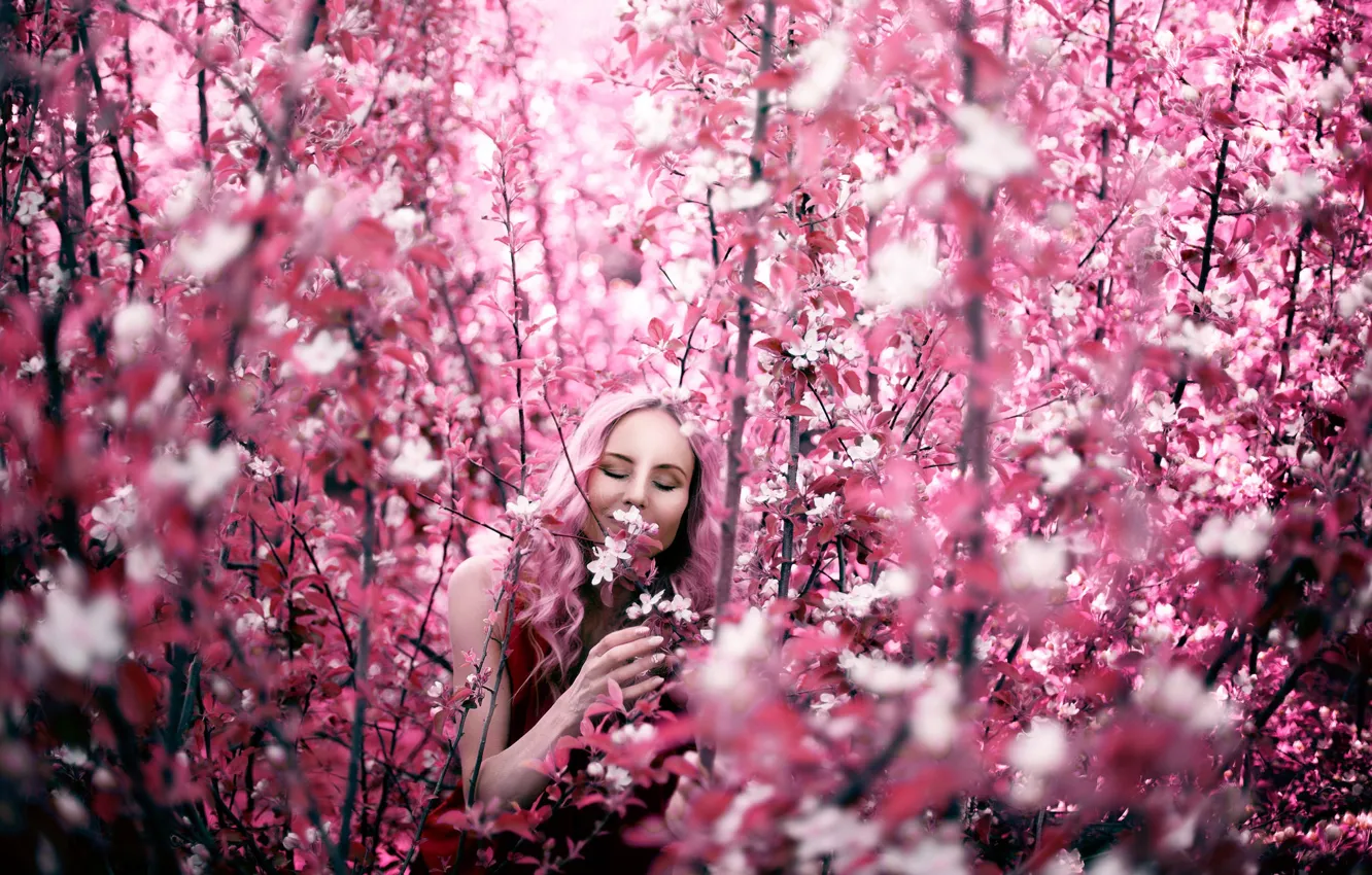 Photo wallpaper girl, branches, spring, flowering
