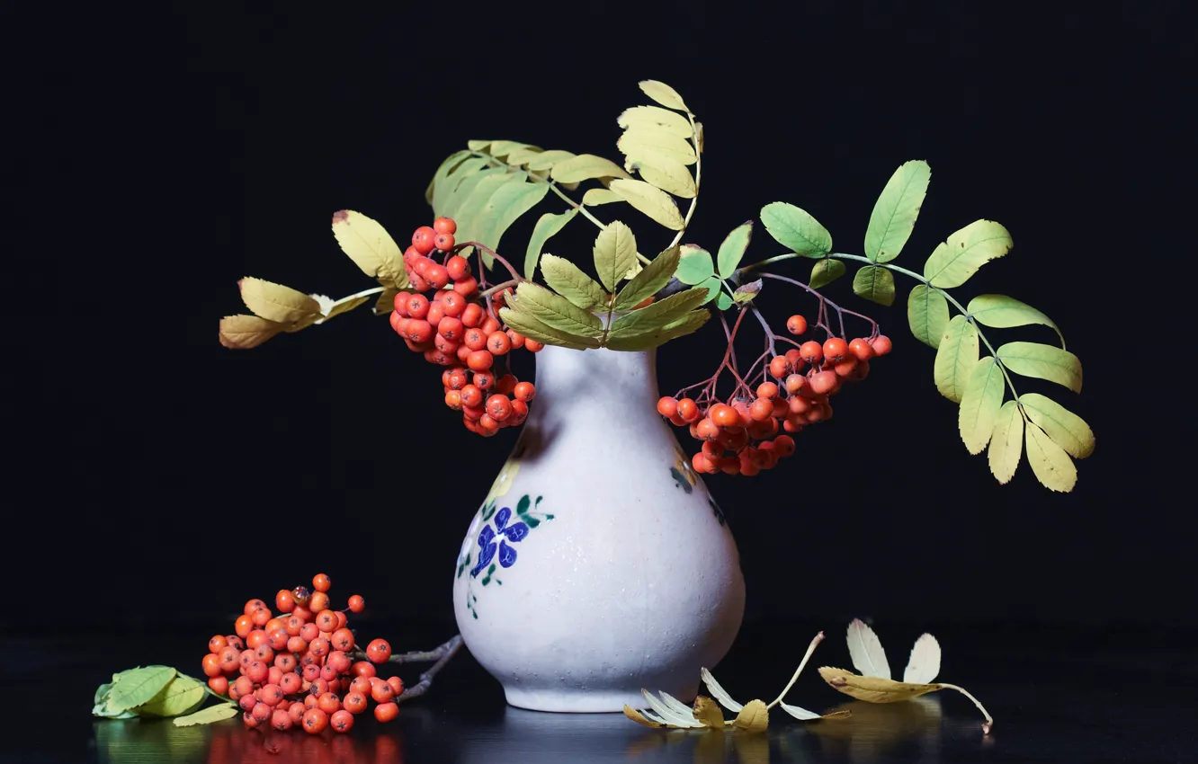 Photo wallpaper autumn, leaves, branches, red, berries, the dark background, bouquet, fruit