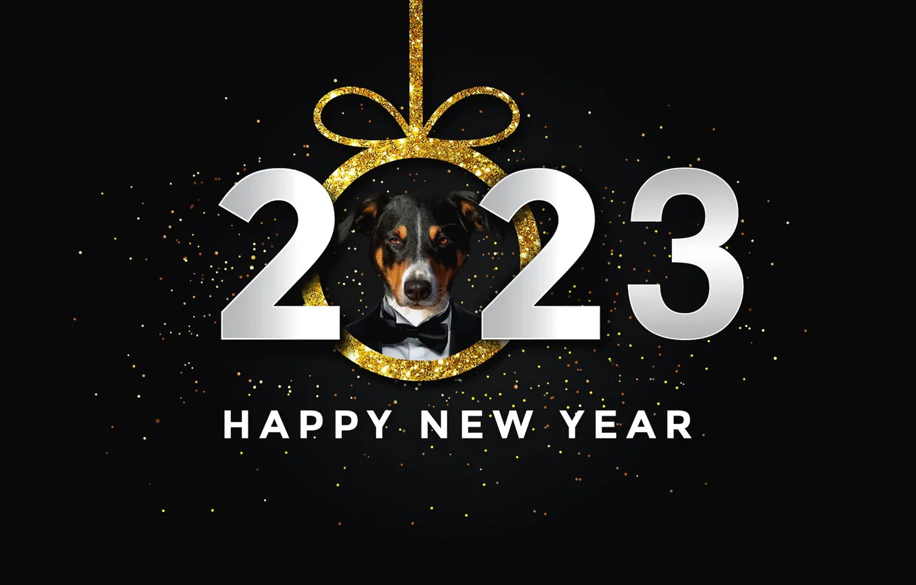 Photo wallpaper balls, sequins, dog, look, figures, date, face, white