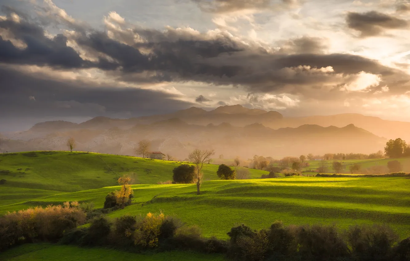 Photo wallpaper field, clouds, beauty, meadow, space, grove, the rays of the sun, Ruslan Avdevich