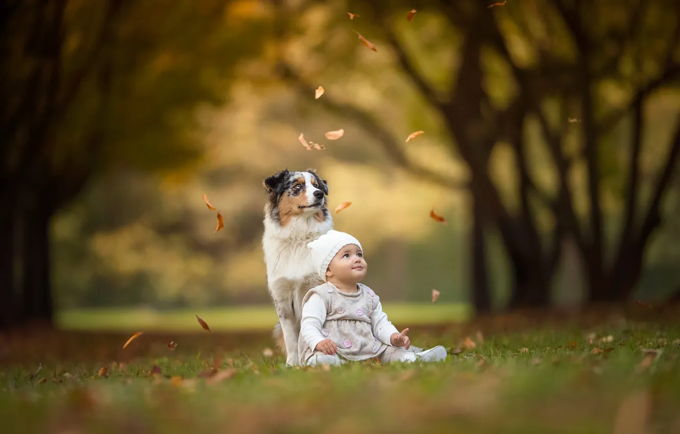 Photo wallpaper autumn, forest, look, face, leaves, branches, nature, children