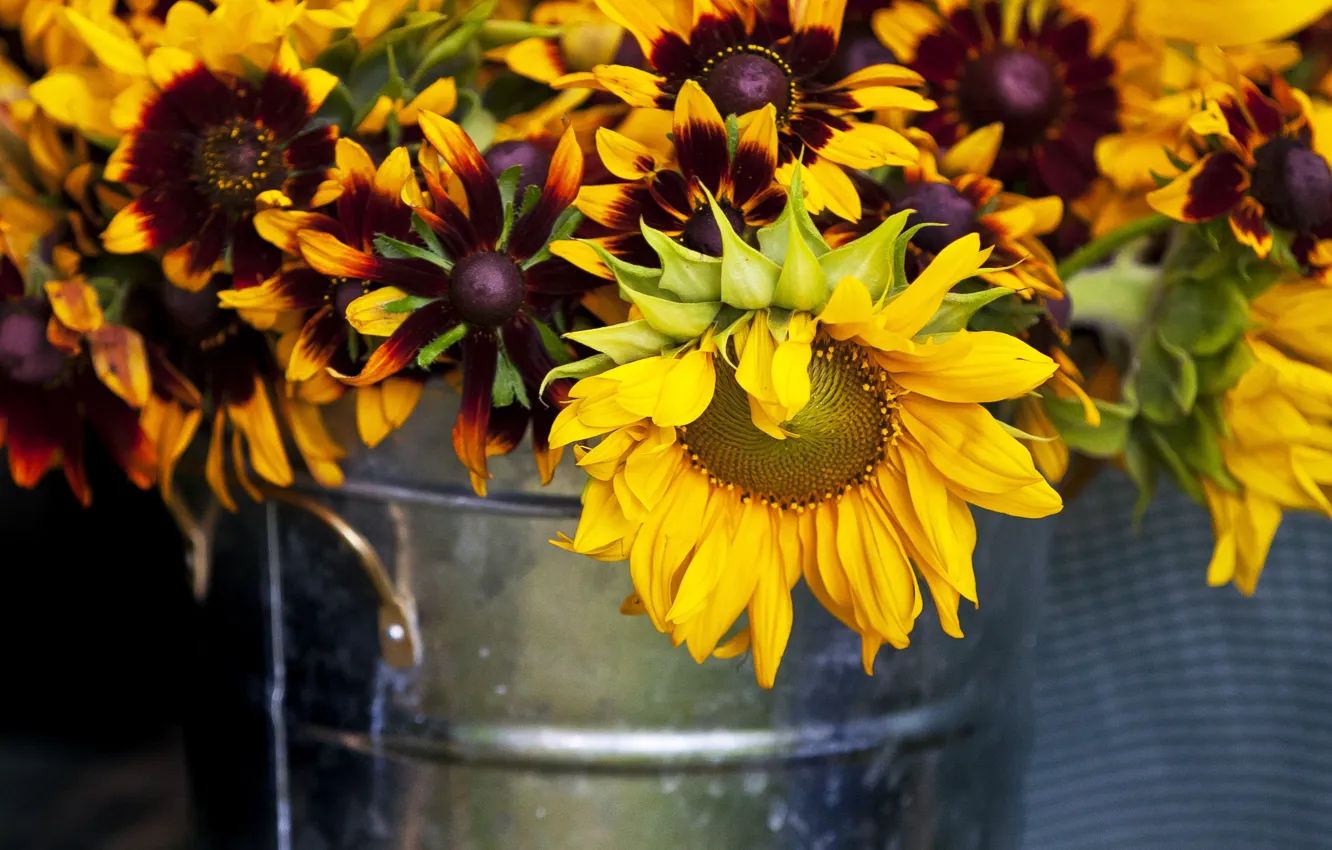 Photo wallpaper sunflowers, flowers, yellow, bouquet, bucket
