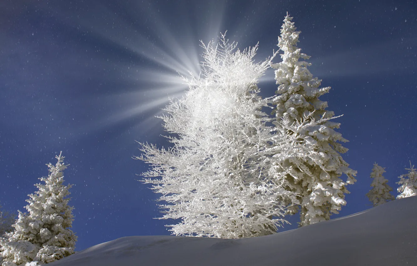 Photo wallpaper winter, the sky, snow, trees, snowflakes, Ukraine, the rays of the sun, Transcarpathia