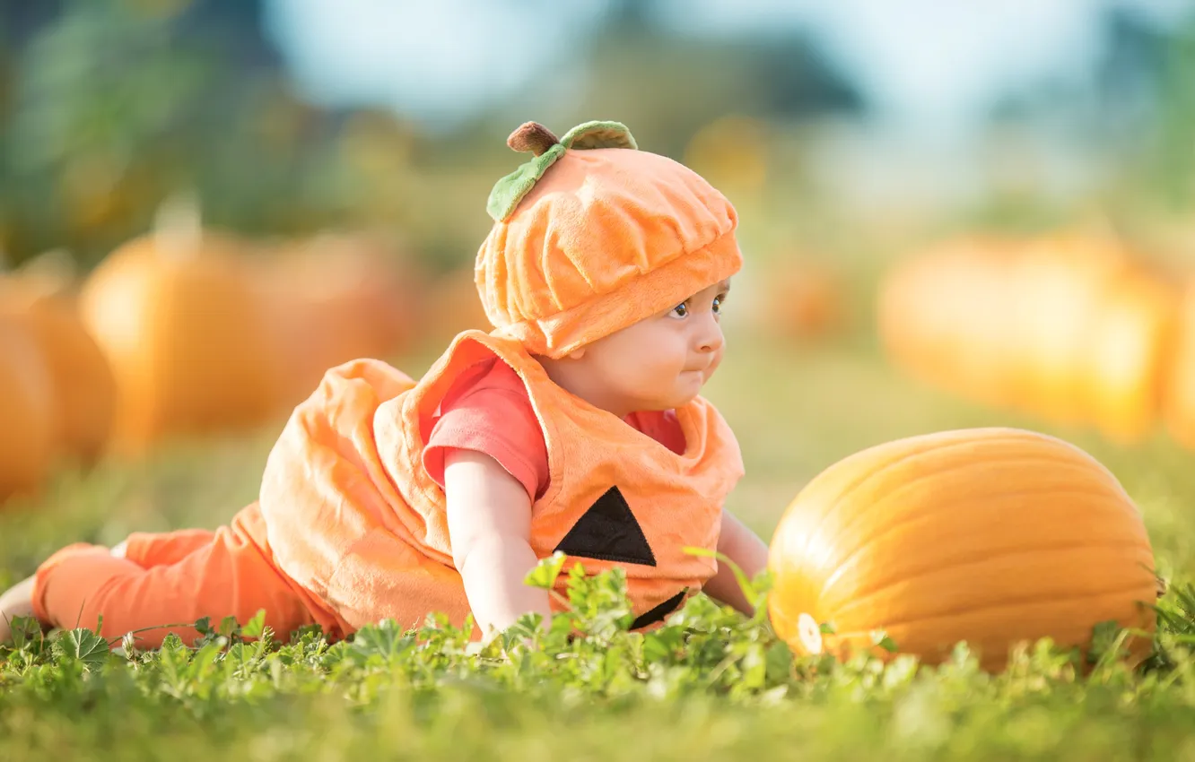 Photo wallpaper children, baby, costume, pumpkin