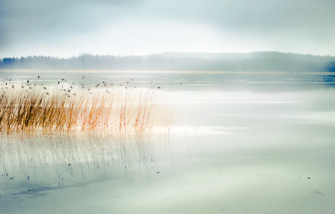 Photo wallpaper fog, lake, morning