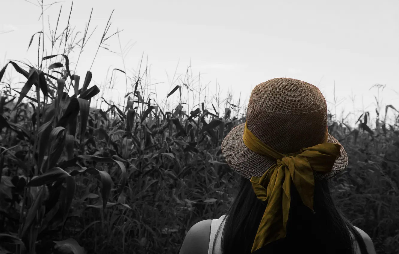 Photo wallpaper field, girl, corn, hat