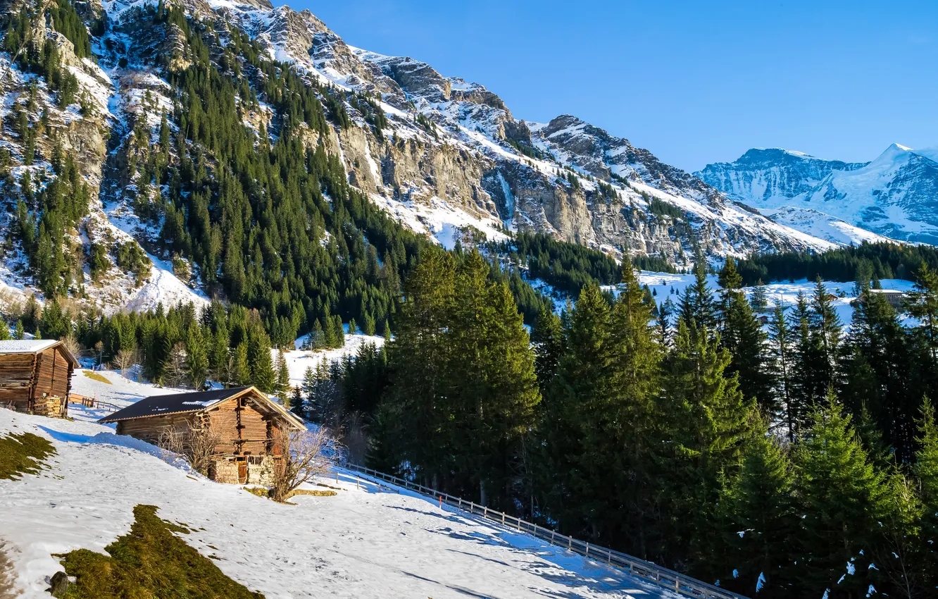 Photo wallpaper winter, snow, trees, mountains, rocks, Switzerland, slope, Alps
