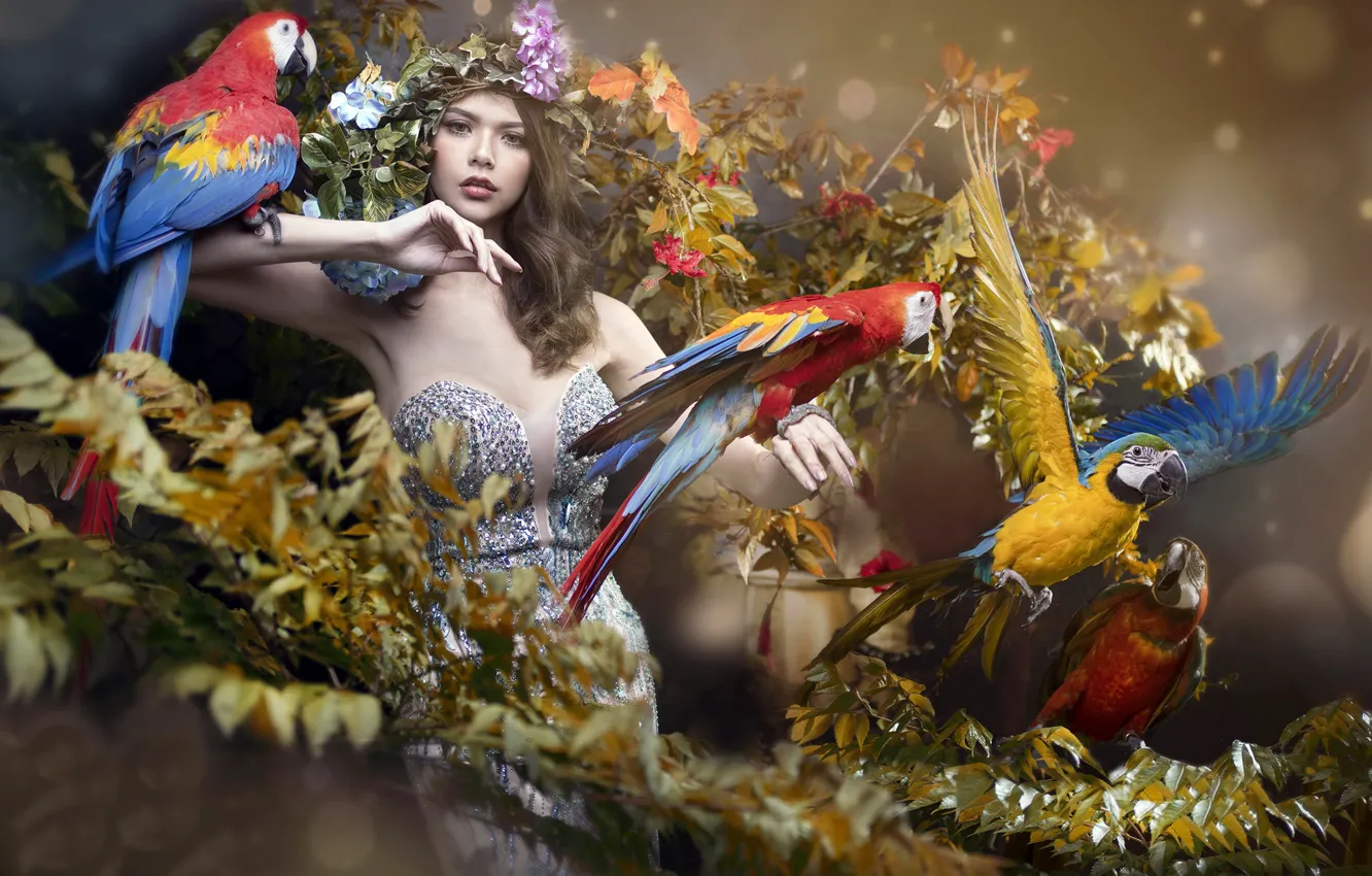 Photo wallpaper girl, birds, parrots