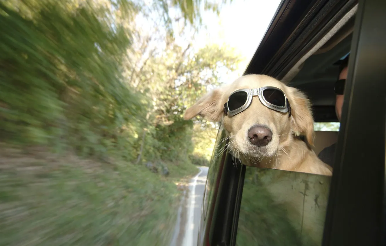 Photo wallpaper road, machine, nature