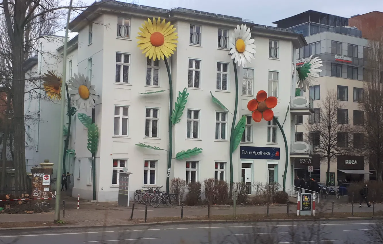 Photo wallpaper flowers, home, Germany, Berlin