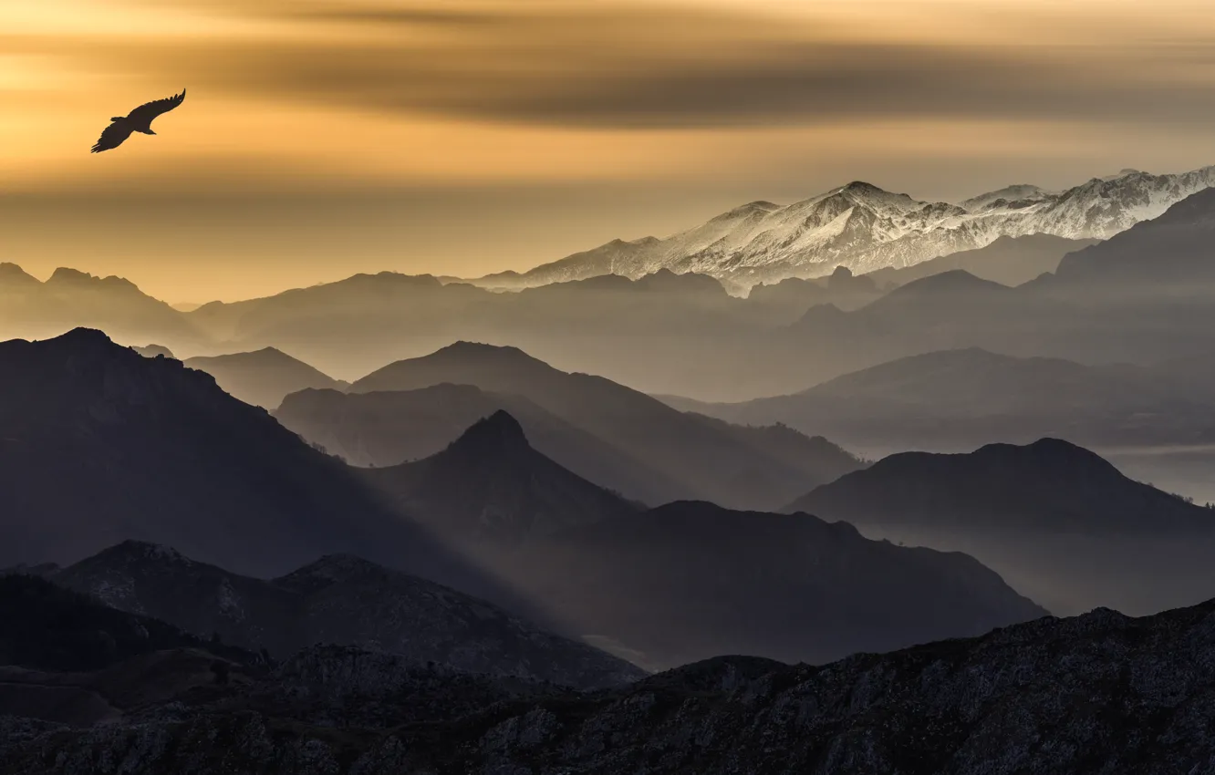 Photo wallpaper clouds, mountains, bird, bird, mountains, clouds, Juan I. Cuadrado