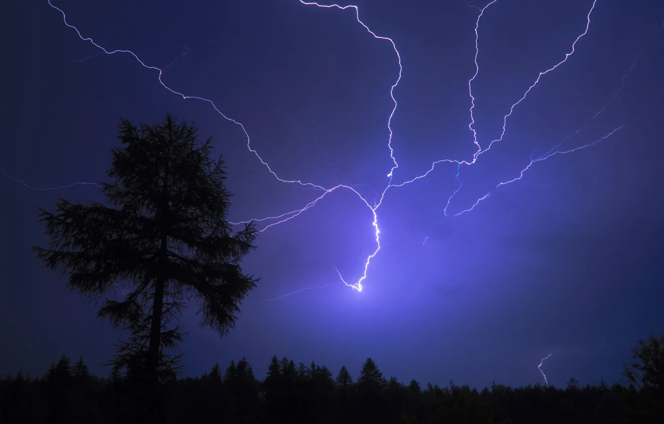 Photo wallpaper the storm, trees, night, lightning, category