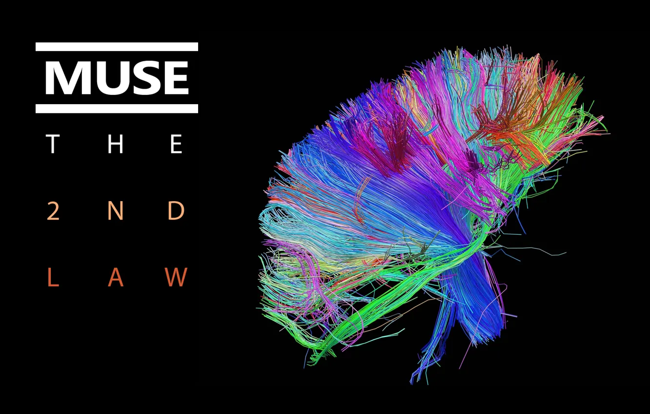 Photo wallpaper colors, cover, muse, brain, bundle, The 2nd Law, wires