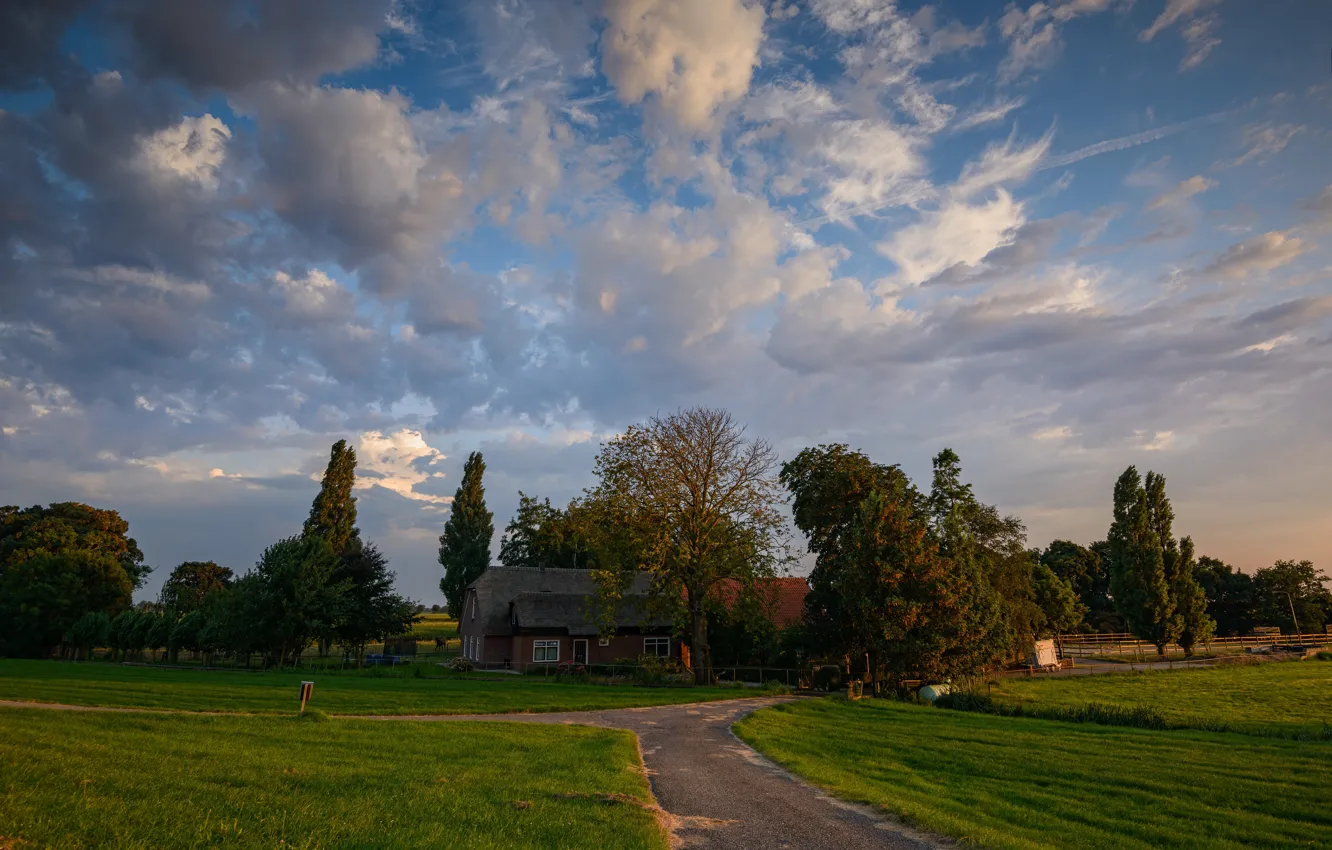 Photo wallpaper road, greens, grass, clouds, trees, field, the evening, houses