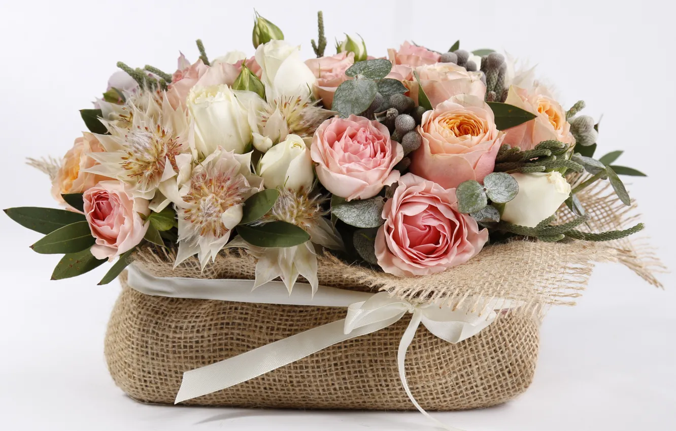 Photo wallpaper roses, bow, composition, astrantia