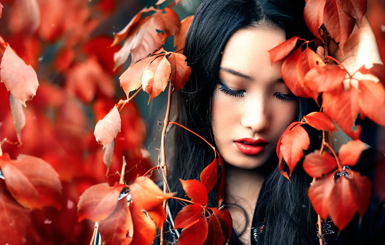 Photo wallpaper leaves, makeup, bokeh, Alessandro Di Cicco, Zhen