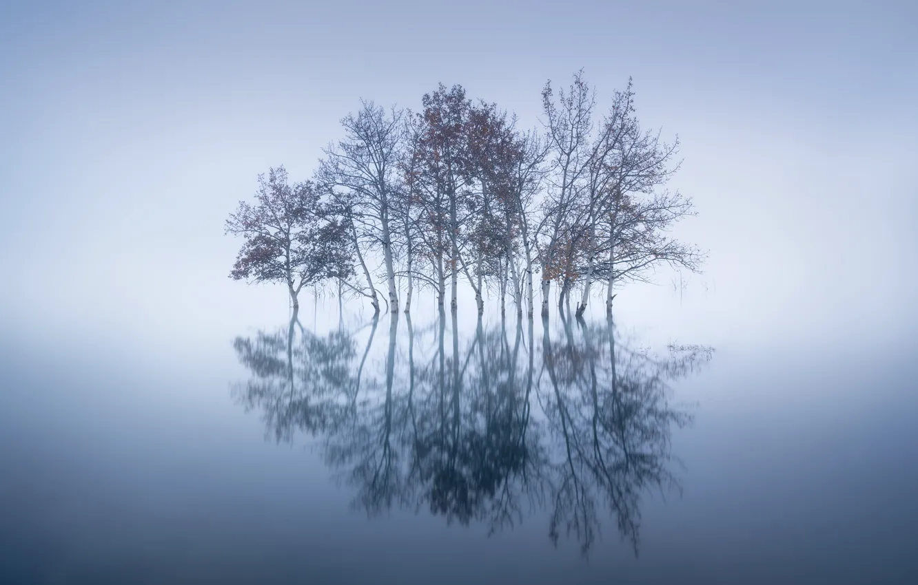 Photo wallpaper Alberta, Canada, abraham lake