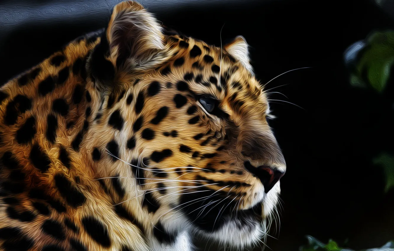 Photo wallpaper face, predator, The Amur leopard