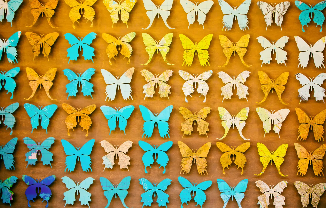 Photo wallpaper butterfly, background, a lot, different