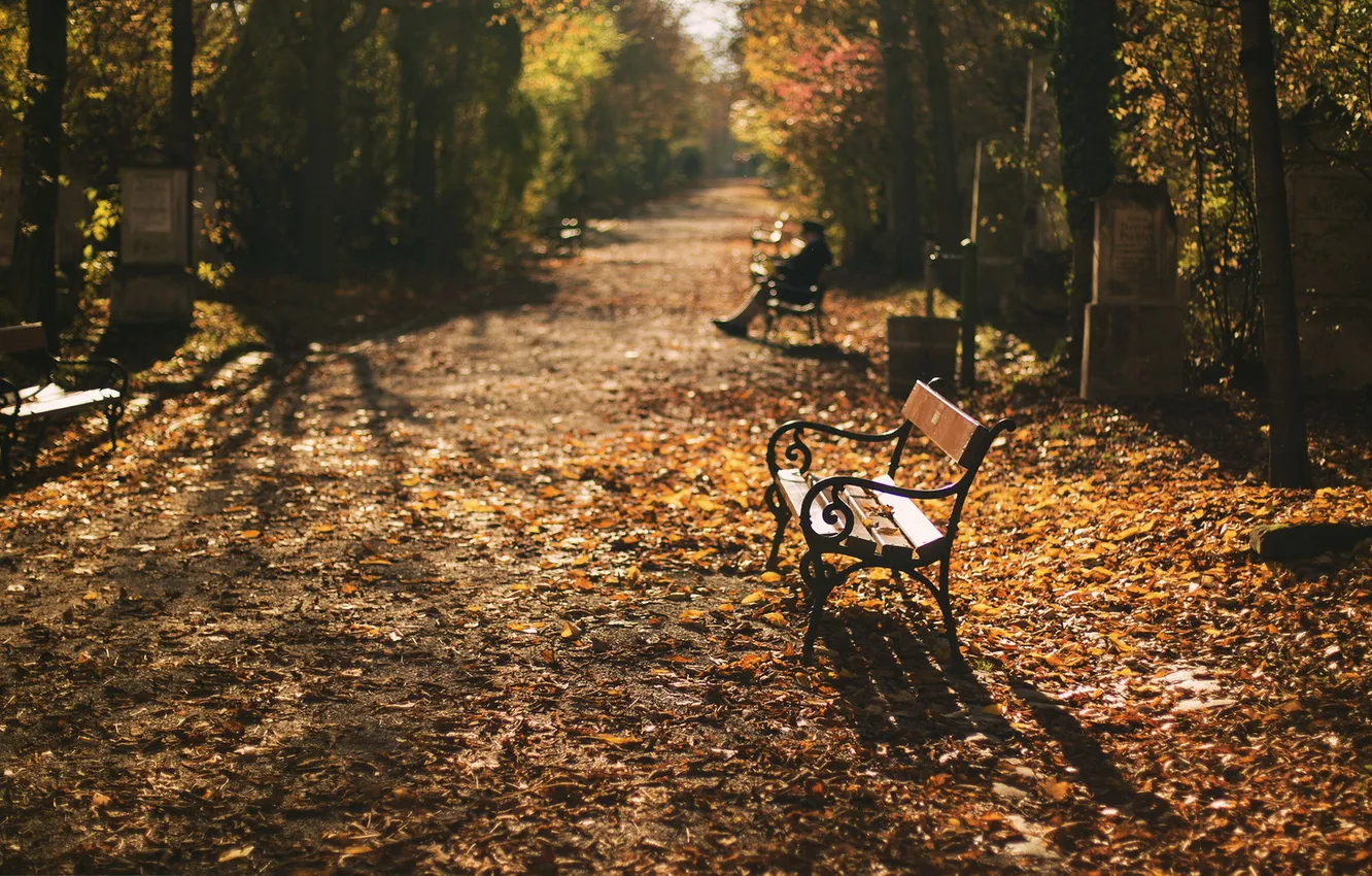 Photo wallpaper autumn, the city, cemetery
