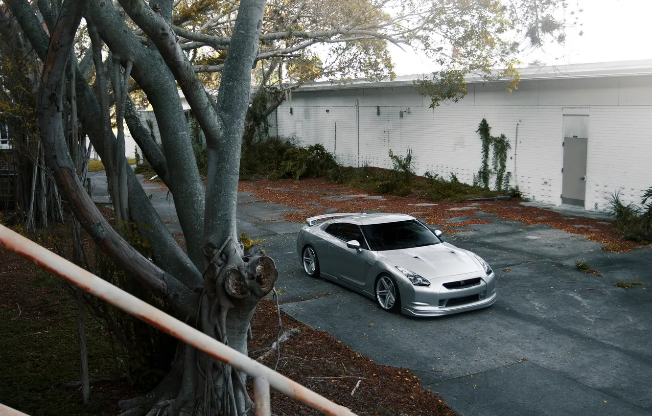 Photo wallpaper branches, tree, the building, silver, the door, nissan, Nissan, the view from the top