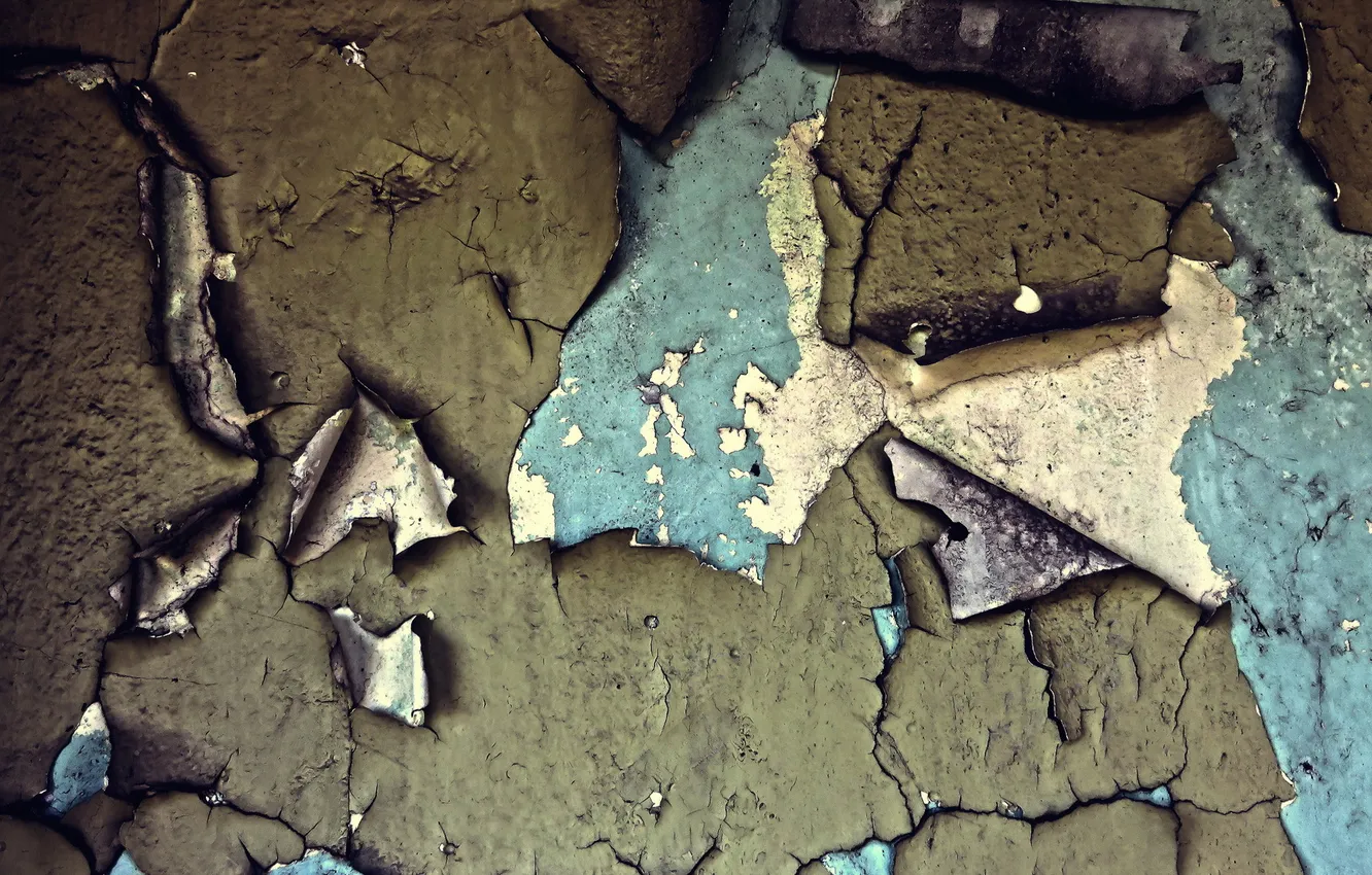 Photo wallpaper wall, paint, texture