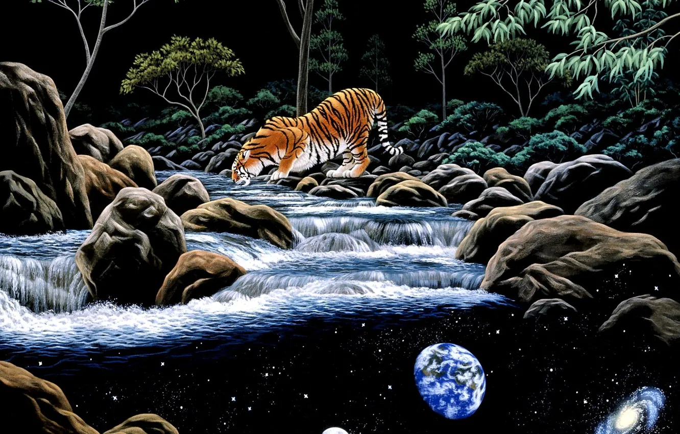 Photo wallpaper tiger, river, planet, art, William Schimmel