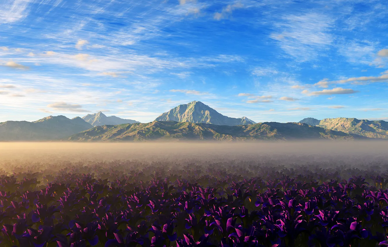 Photo wallpaper field, the sky, clouds, flowers, Mountains, haze