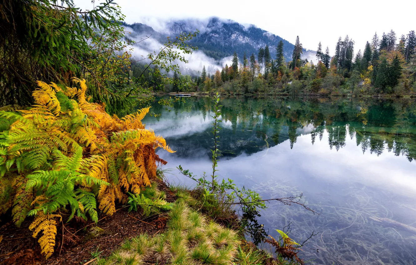 Photo wallpaper autumn, clouds, trees, landscape, mountains, lake, Switzerland, Grisons