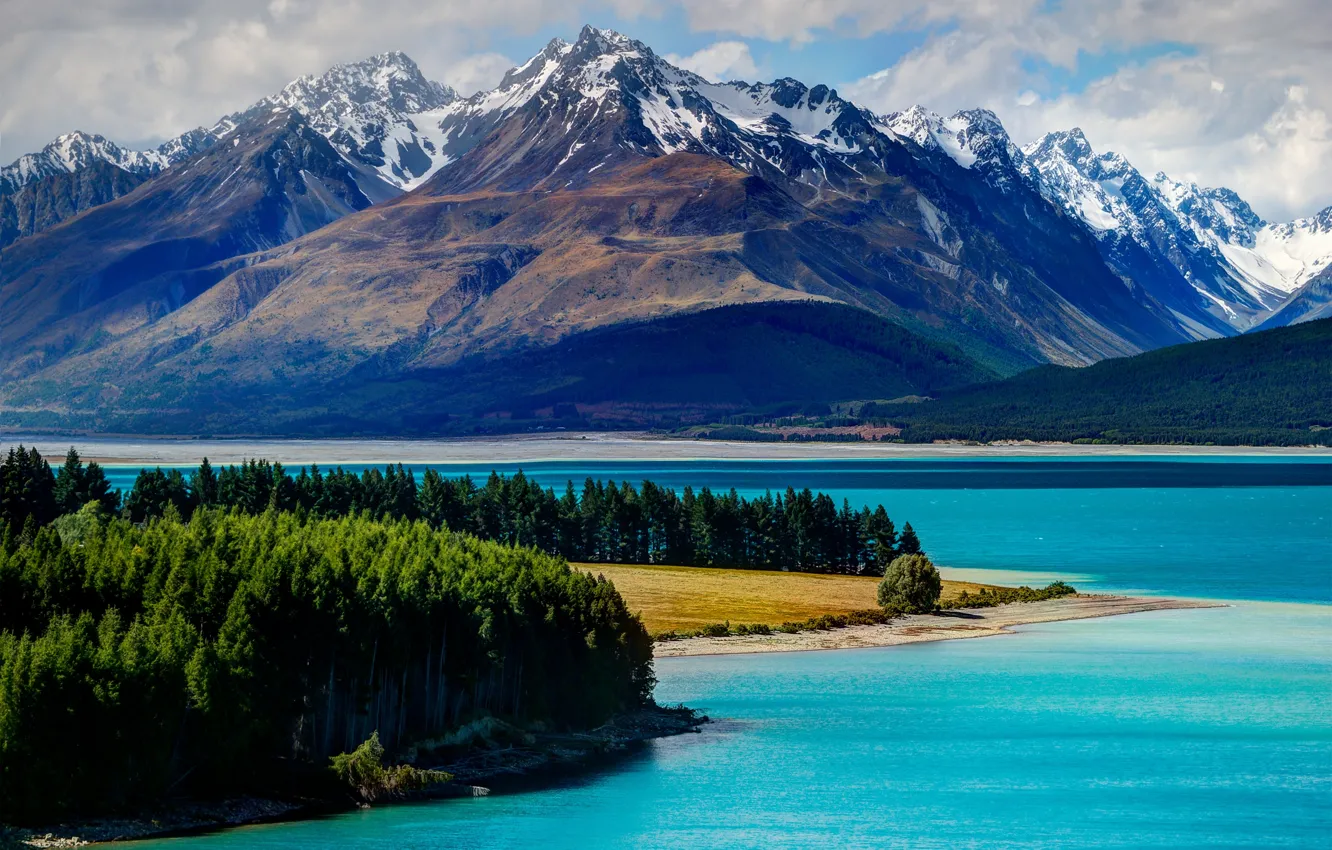 Photo wallpaper forest, trees, mountains, lake, New Zealand, New Zealand, Lake Tekapo, Lake Tekapo