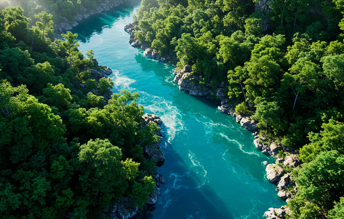 Photo wallpaper forest, mountains, fog, river, Wallpaper, art, wallpaper, forest