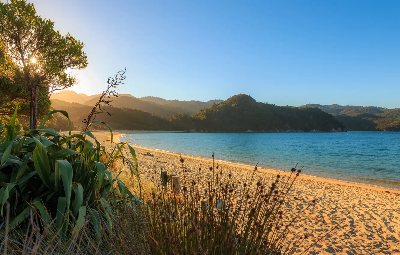 Photo wallpaper sand, sea, beach, the sky, the sun, trees, mountains, dawn
