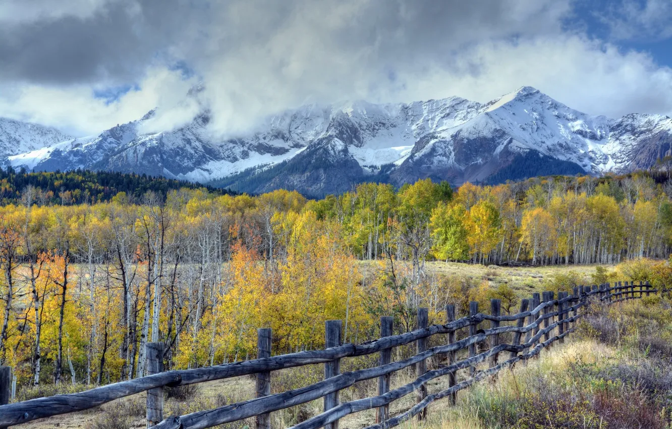 Photo wallpaper autumn, the sky, trees
