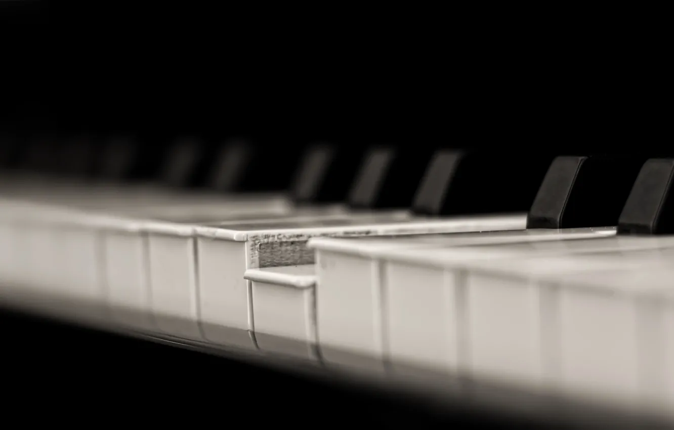 Photo wallpaper macro, music, piano