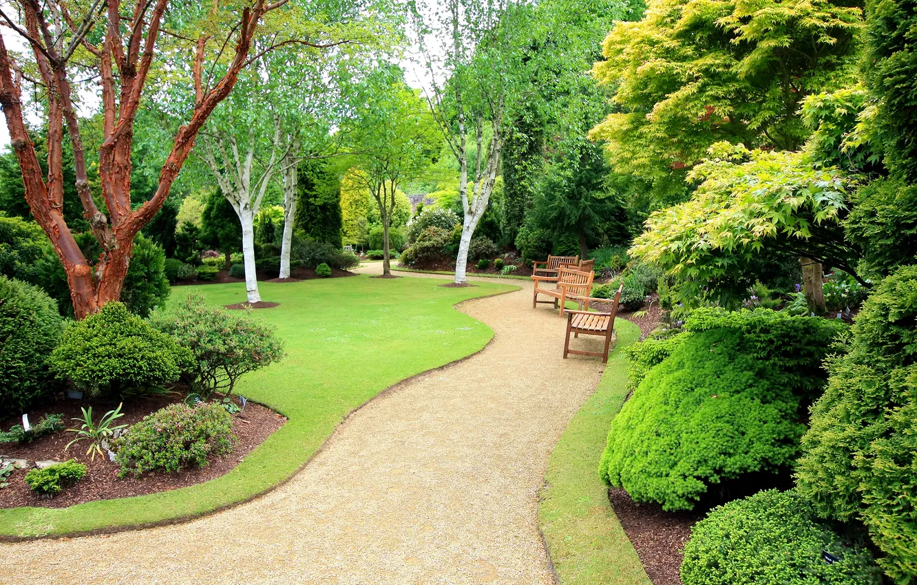 Photo wallpaper trees, Park, lawn, chair, garden